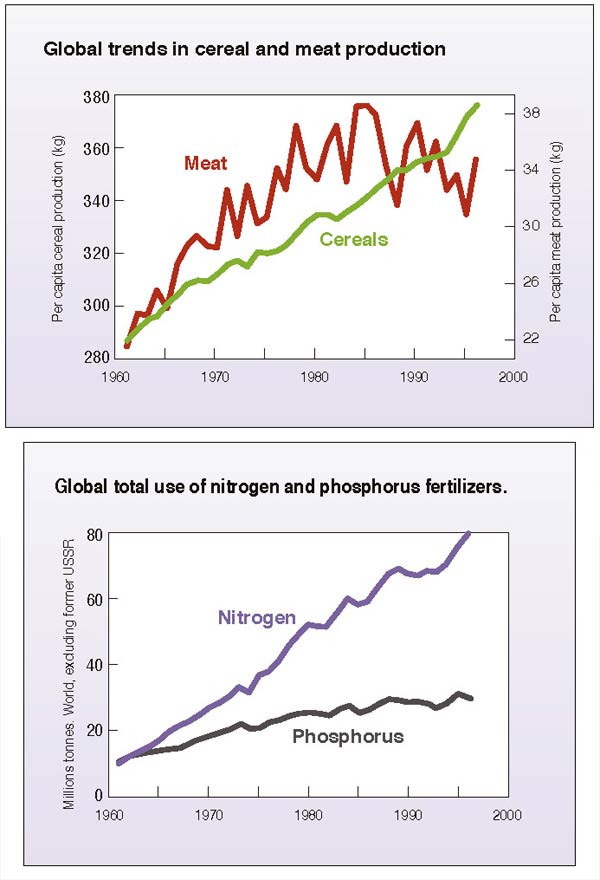 Global cereal & meat production and fertilizer use (1960 - 2000)