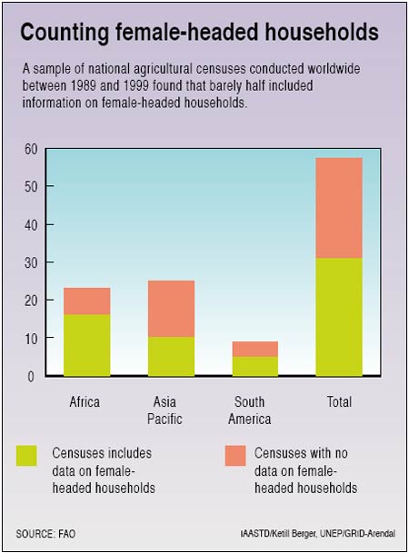 Counting female-headed households
