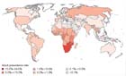 A global view of HIV infection