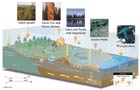 Carbon cycle in the Arctic