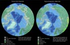 Projected changes in vegetation