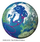 Ocean currents in the Arctic