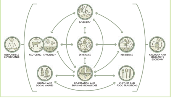  The ten elements of agroecology