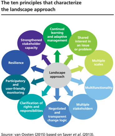 The 10 principles that characterize the landscape approach
