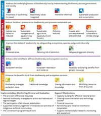 The strategic Plan for Biodiversity 2011-2020