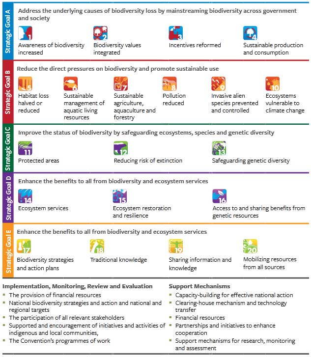  The Strategic Plan for Biodiversity 2011-2020