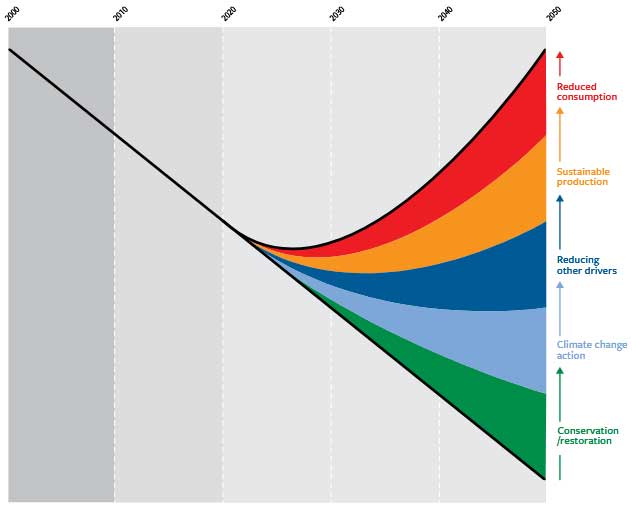 A portofolio of actions to reduce loss and restore biodiversity