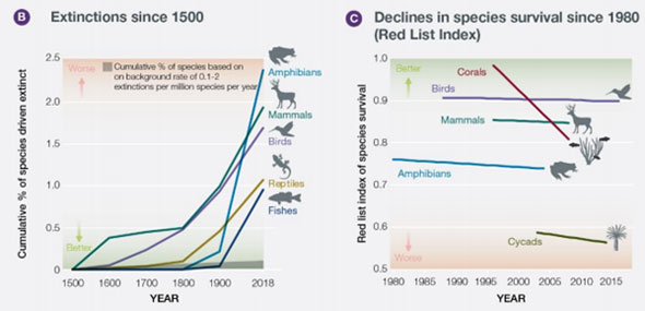 Exctinction since 1500 / Declines in species survival 1980 ( Red List Index)