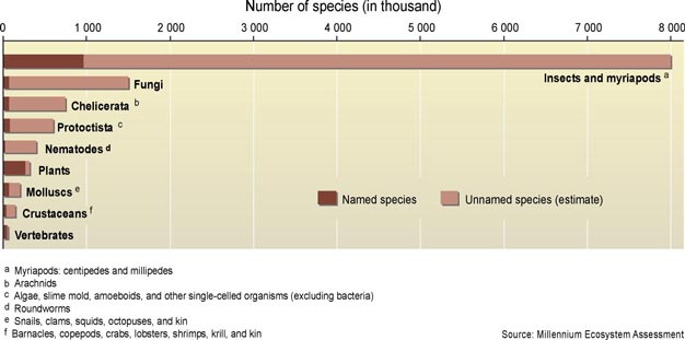 Number of named species