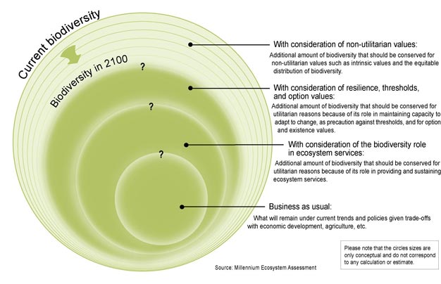 Biodiversity remaining in 2100