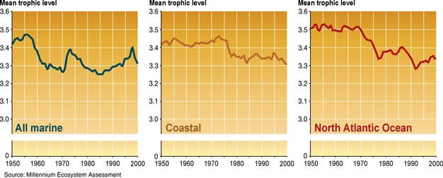 Decline in trophic level