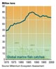 Global marine fish catch