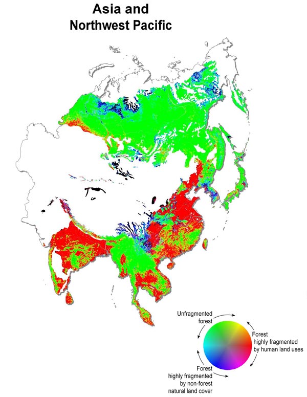 Map of Forest Fragmentation in Asia