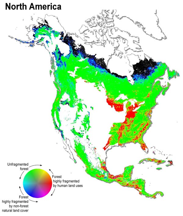 Map of Forest Fragmentation in North America