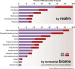 Loss of Plant Biodiversity in Order from Strength Scenario