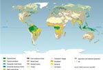 Land cover map for 2000