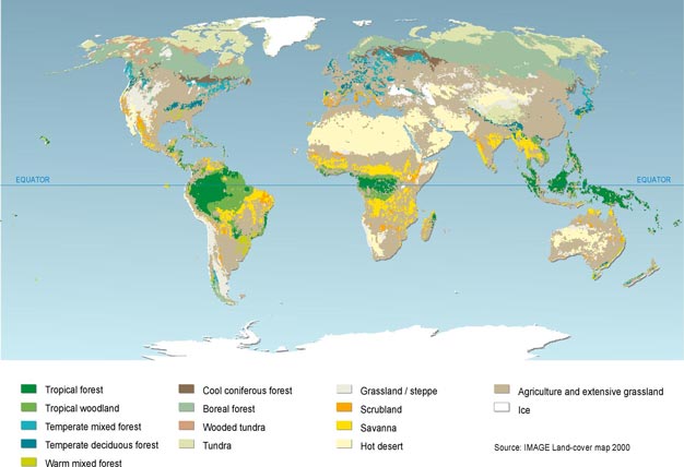 Land cover map for 2000