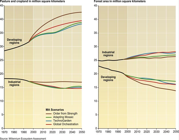 Forest and croplands in scenarios