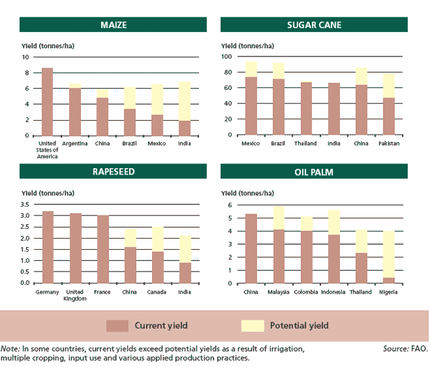 Potential for yield increase for selected biofuel feedstock crops