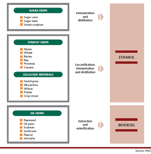 Conversion of agricultural feedstocks into liquid biofuels