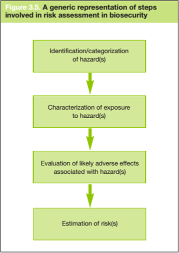 A generic representation of steps involved in risk assessment in
								biosecurity