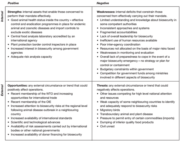 SWOT analysis