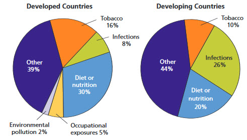 Proportion of Cancer Causes by Major Risk Factors and Level of Economic Development