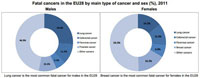 Fatal cancers in the EU28 by main type of cancer and sex
                                (2011)