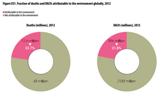 Fraction of deaths and DALYs attributable to the environment globally,
					2012
