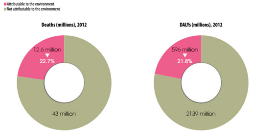 Fraction of deaths and DALYs attributable to the environment
								globally