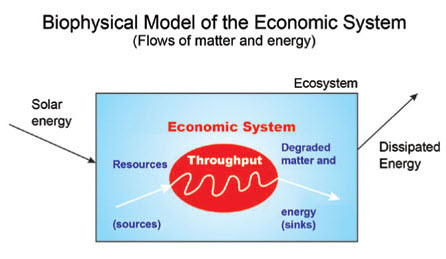 Biophysical Model of the Economic System