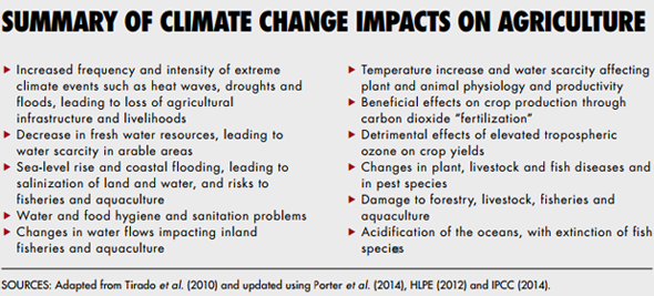  Summary of climate change impacts on agriculture