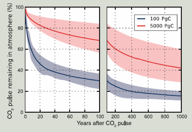 Percentage of initial atmospheric CO2 perturbation remaining in the atmosphere