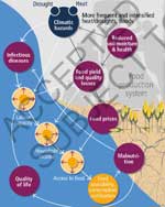 Cascading impacts of climate hazards on food and nutrition