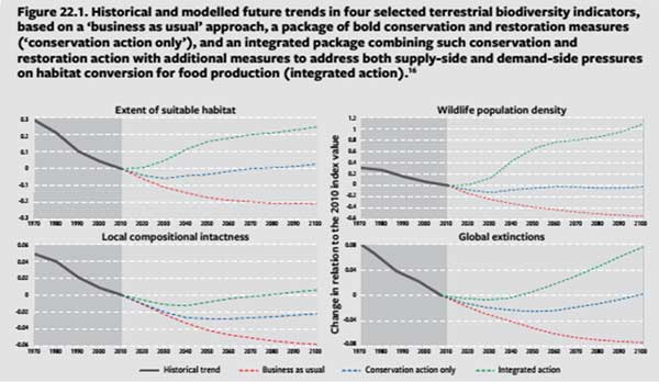 Historical and modelled future trends in four terrestrial biodiversity indicators
