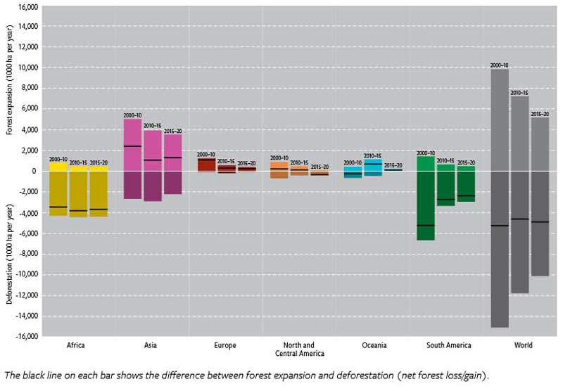 Figure 5.1. Annual rate of global forest expansion and deforestation. 