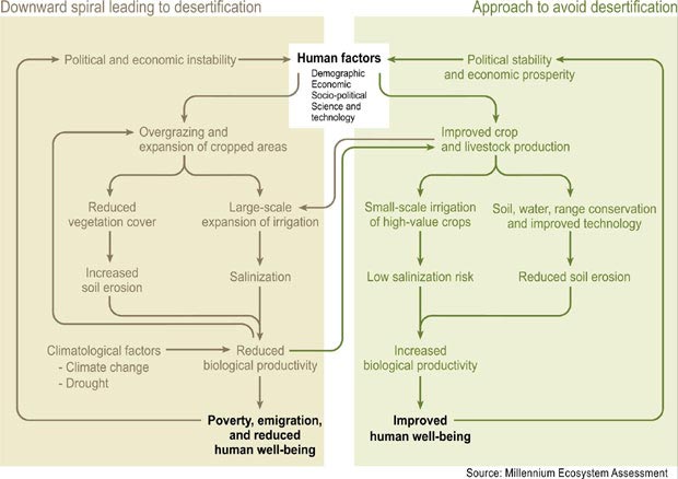 Schematic Description of Development Pathways in Drylands