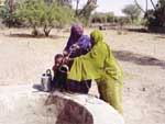 Women often play a key role in water management in drylands (Mauritania)