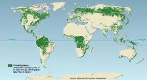 Forest systems map