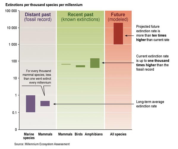 Species Extinction Rates