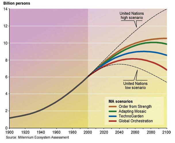 Population Growth in the scenarios