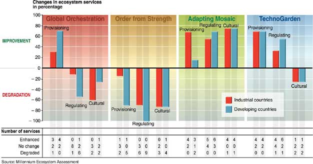 Services in MA scenarios