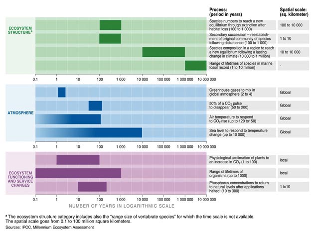 Population Growth in the scenarios