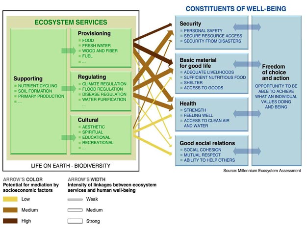 Linkages between Ecosystem Services and Human Well-being.