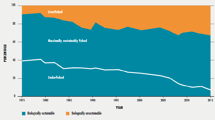 Global trends in the state of the world's marine fish stocks, 1974-2015