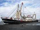 Long-Term productivity of fisheries needs to be
                                    ensured