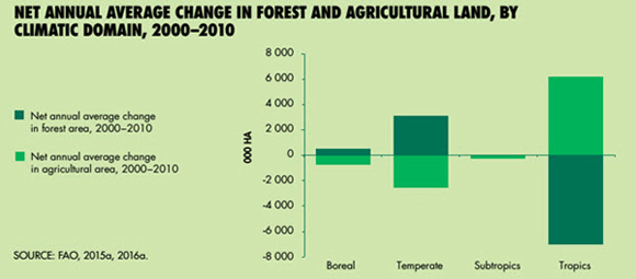 Net Annual AVerage Change In Forest And Agricultural Land, By Climatic Domain, 2000-2010