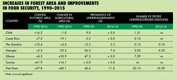 Increases In Forest Area And Improvments In Food Security, 1990-2015