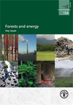 Forests and energy - Key issues 