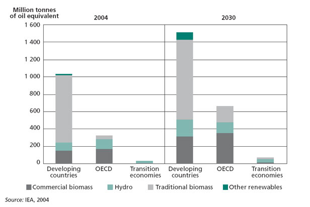 World renewable energy consumption by region